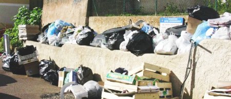 Conteneurs sur l'avenue des Pugets Ordures